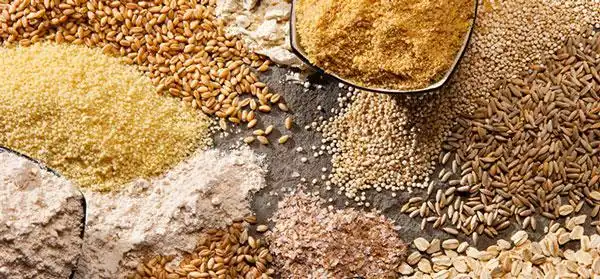 Fish Feed Machine price