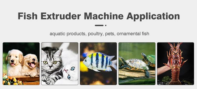 fish food extruder plant, floating fish feed machine plant