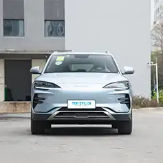BYD Song plus New Energy image
