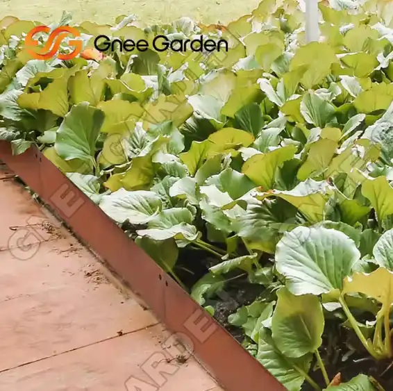 Corten Steel Planter Bed image 5