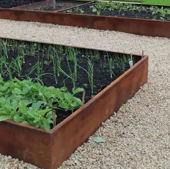 Corten Steel Raised Garden Edging Beds image