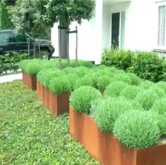 Corten Steel Raised Garden Beds image 2