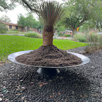 Corten Steel Fire Pit Water Bowl and Planter Bowl image 4