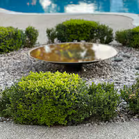 Corten Steel Fire Pit Water Bowl and Planter Bowl image 5
