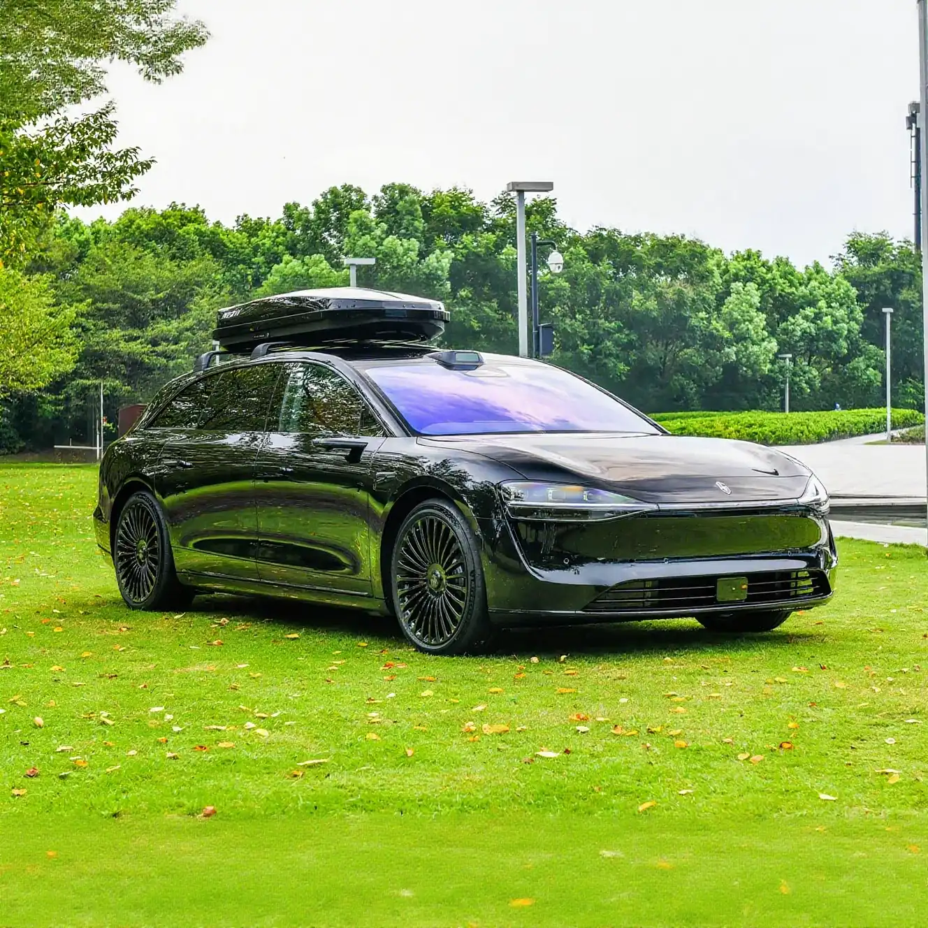 2025 Stelato S9T image