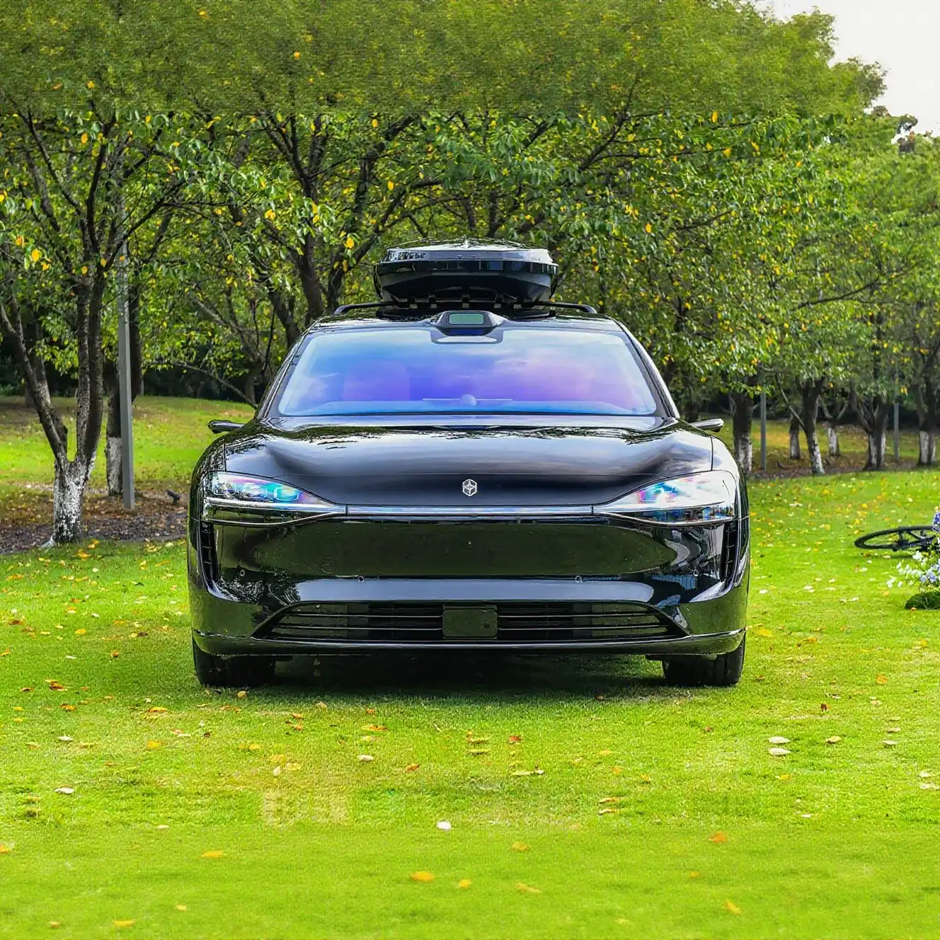 2025 Stelato S9T image 2