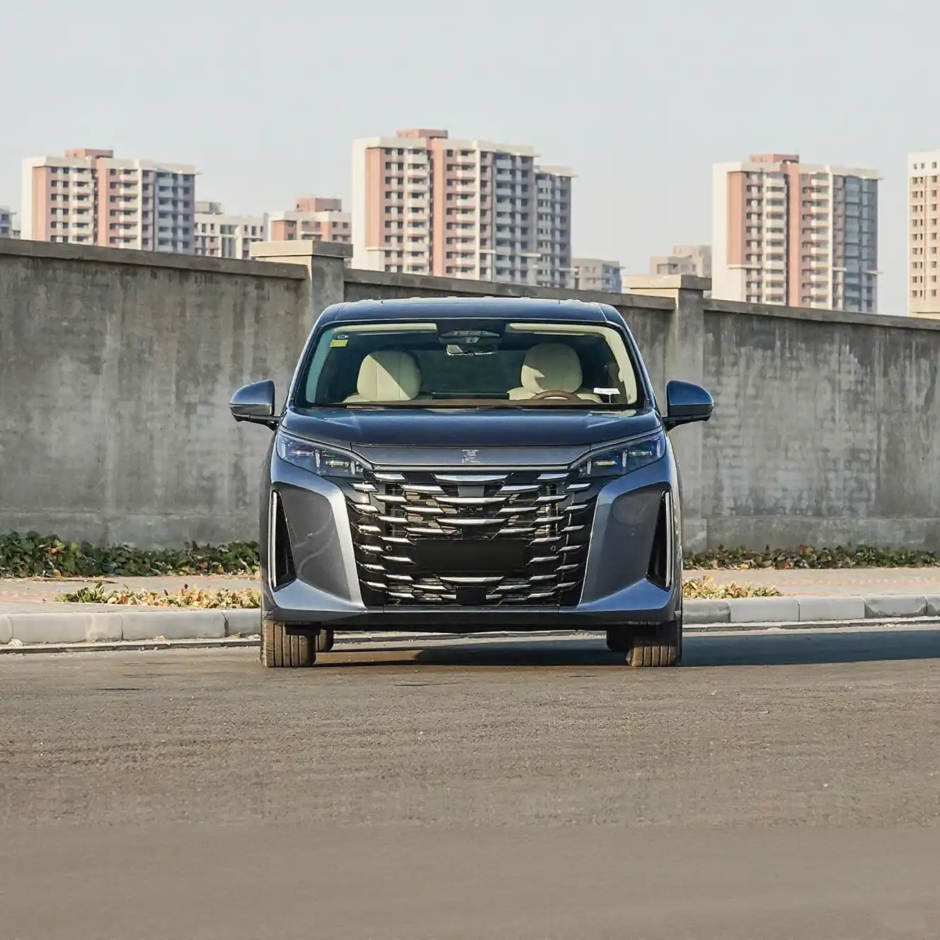 2025 BYD M9 Luxury PHEV MPV image 3