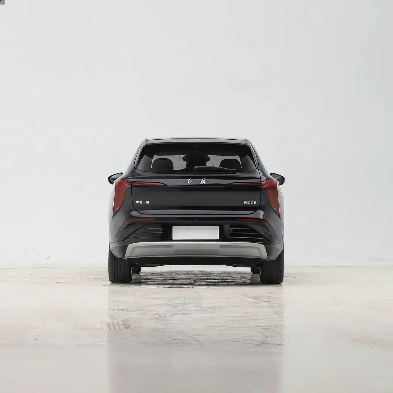 2025 Hongqi Tiangong 06 image 5