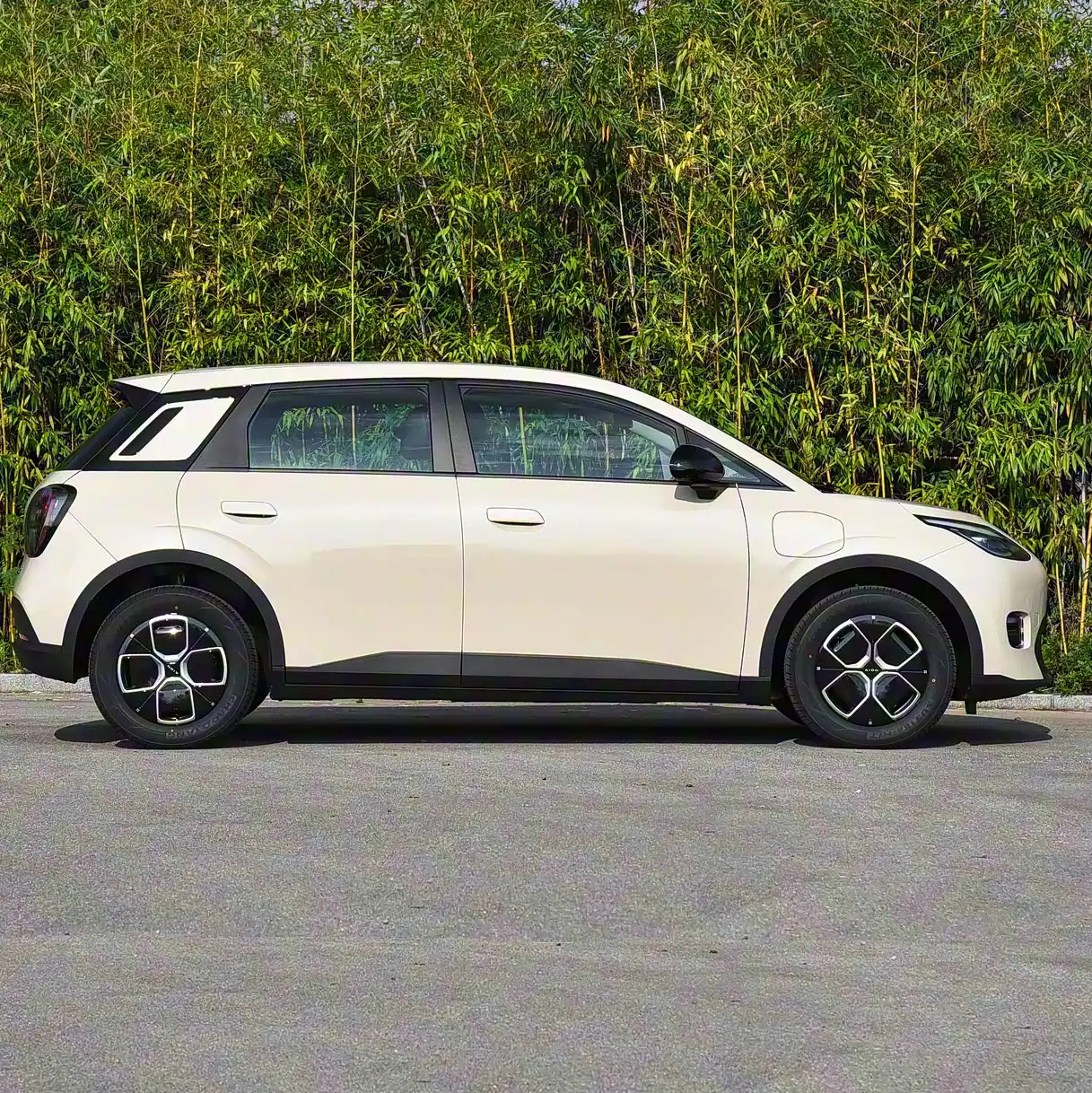 2026 AION UT SUPER image 3