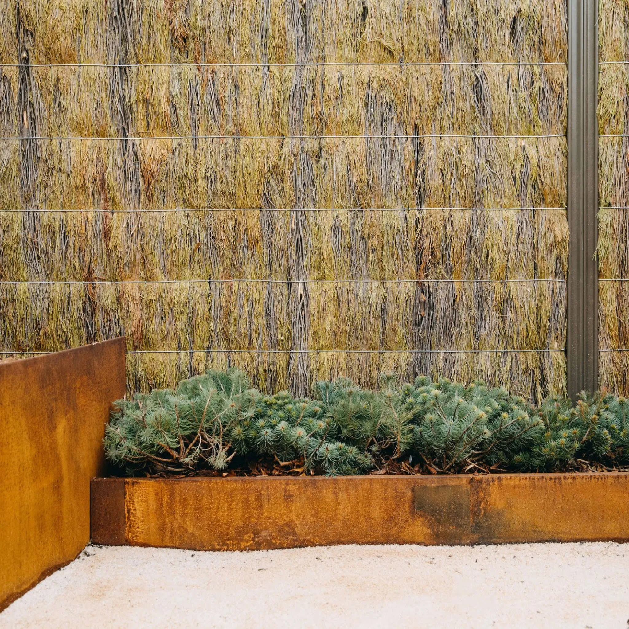 Corten Steel Garden Edging image 3